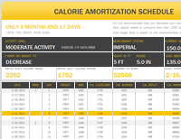 amortization calculator with extra payments